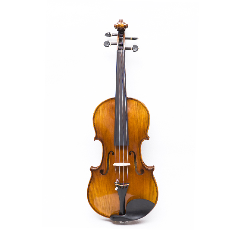 Violino fatto a mano in un unico pezzo per la mano sinistra (AVA100SL)