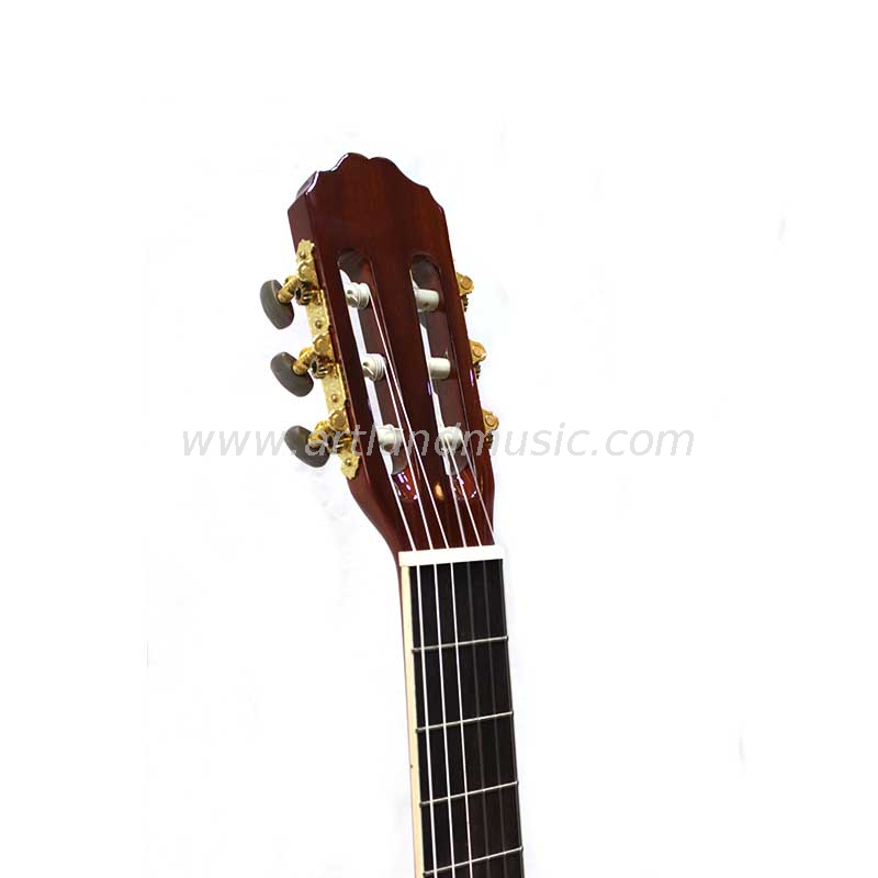 Chitarra classica con retro e lati in palissandro con top in abete massiccio (CG968)
