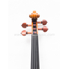 Violino antico di prima qualità con bella fiamma (AVA500)
