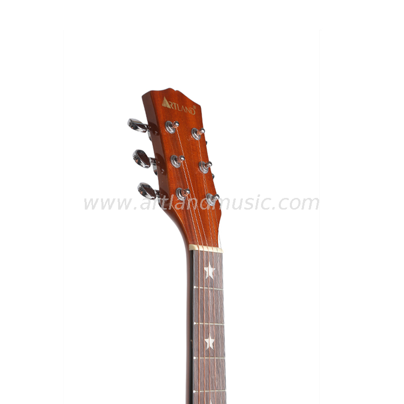 Chitarra acustica posteriore e laterale in Sapele con top in abete (AG4113)