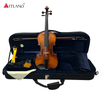 Violino moderato adatto a tutte le età (MV115) 