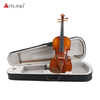 Poluar Solid Vioins Outfit per principianti (GV103F)