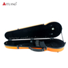 Custodia per violino in carbonio composito (SVC002P)
