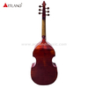 Viola da gamba 6 corde (GAM550)