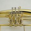 Modello per ingresso baritono laccato oro, chiave in Sib （ABR1210）
