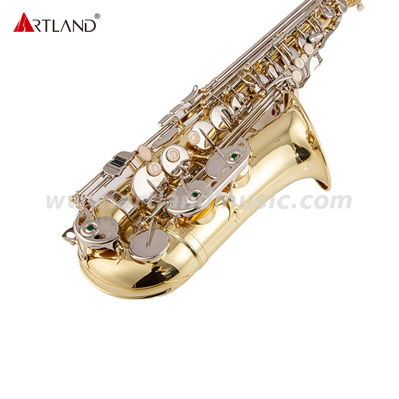 Sassofono contralto laccato dorato con chiave in nichel (AAS3506G)