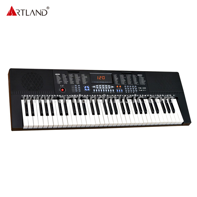 Tastiera elettronica con 61 tasti in stile pianoforte/display LED YM-288