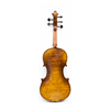Violino 5 corde con fondo in acero in un unico pezzo (AVA1005S)