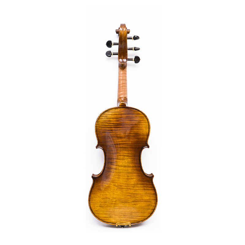 Violino 5 corde con fondo in acero in un unico pezzo (AVA1005S)
