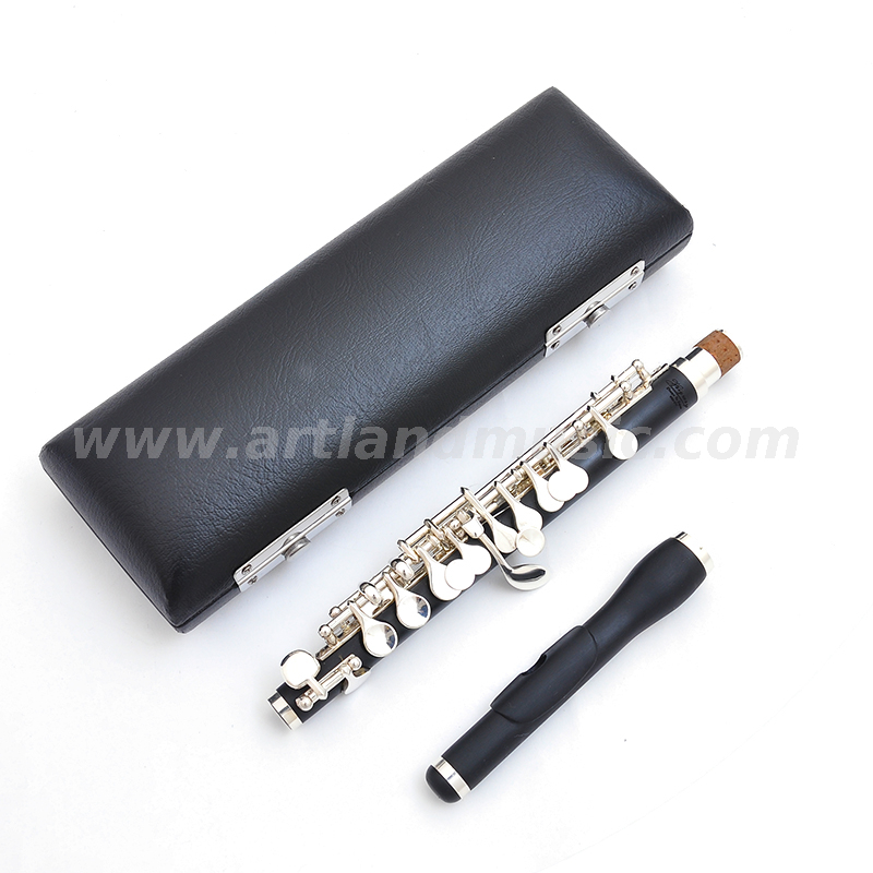 Piccolo professionale (AFL2100) placcato argento