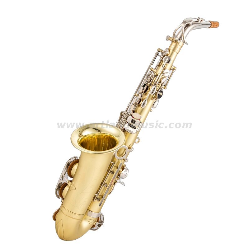 Corpo del sassofono contralto in mib laccato oro opaco inciso a mano con chiave in nichel (AAS5505GN)